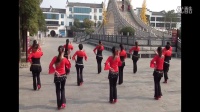 太湖鹤群广场舞--你为什么不上线