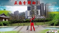 重庆葉子广场舞DJ穷人富贵梦（原创）附分解和背面演示