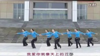 中老年广场舞视频大全 为你等待（正面背面） 紫蝶广场舞教学