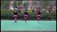 广场舞蹈视频大全 阿拉伯之夜 周思萍广场舞最近新舞
