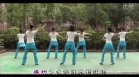 雕花的马鞍 周思萍广场舞 广场舞蹈视频大全