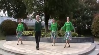 中老年广场舞绿色青鸟 舞蹈教学