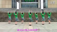 广场舞梦里花香 紫蝶踏歌广场舞专辑视频