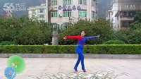 广西灵山曹曹广场舞——芙蓉雨 正反3