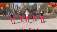2014最新广场舞教学广场舞视频大全一物降一物 高清[高清]