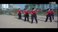 茹雪广场舞《自由飞翔》广场舞教学视频大全