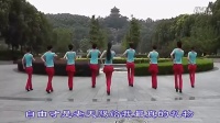 广场舞 放手的幸福 - 广场舞视频