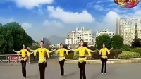 广场舞 零度桑巴 - 广场舞视频