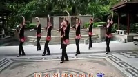 广州云裳丽影广场舞——西海情歌[标清版]
