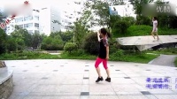 张林冰广场舞【小苹果】正反面演示和背面分解 忠奸人小苹果MV 格格紫蝶踏歌广场舞