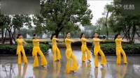 广场舞 - 孔雀公主 - 广场舞视频