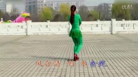 广场舞 - 美人窝（背面） - 广场舞视频