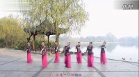 张春丽广场舞 《花好月圆》 编舞：廖弟