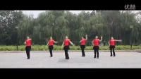 广场舞 广场舞最炫民族风舞蹈视频大全教程分解动作 (30)