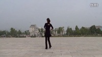 2015广场舞 跳到北京 广场舞教学视频大全