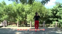 阿中中广场舞 双人恰恰舞教学视频