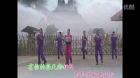 动动广场舞放手的幸福 广场舞视频免费下载