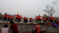 小青蛙广场舞舞动中国变队形16人