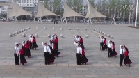 北京榆垡广场交谊舞队--交谊舞(北京平四、中三、伦巴、探戈）2015.4.8