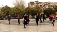 水晶苹果广场舞----- 学跳【歌在飞】