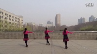 阳光四季美梅广场舞---（唐古拉  8步）自由步