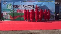 绿岭杯广场舞大赛隆尧站-彭村阳光舞蹈队