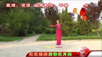 凌波广场舞 红月亮（百姓健康舞）摄录制作：平安（139）