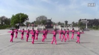 德州市运河誉美广场舞舞动中国变队形