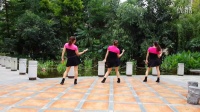 2015最新健身舞 月之美原创广场舞《韩国歌曲bingo》背面演示练习编舞萍姐