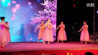 广场舞蹈视频大全 杨艺广场舞 广场舞舞动中国
