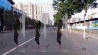 韩国四季歌20步   月下飘香广场舞