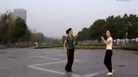 （舞蹈）青青广场舞双人对跳17步 视频[普清版]