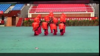 【视频展播】金安湖社区广场舞队《红红的日子》-