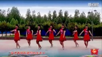 马寨姐妹花广场舞 美丽的草原美丽的姑娘 编舞慧汝 舞曲九州麦田 视频制作钓鱼人
