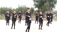 东明县焦元乡光明材2015年5月6月森林公园广场舞表演队