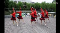 上南公园舞蹈爱好者学跳广场舞-----恰恰恰