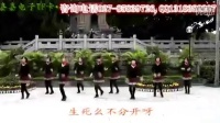 220- 动动广场舞 妹妹的山丹花 演教合作版
