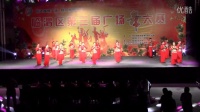 渭南广场舞2015（005）临渭区第三届广场舞复赛第一名 普雅花舞蹈队表演