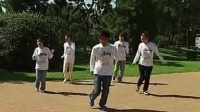 广场舞教学视频(十七步)丢了幸福的猪_标清