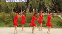 甘谷县广场舞 美丽的雪山姑娘 青苹果靓艺健身队
