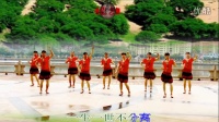 2015 龙川县思念姐妹广场舞演示:求求你给点力.
