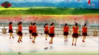 2015 龙川县思念姐妹广场舞演示：舞出你的爱.。