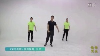 2《策马奔腾》国家体育总局、文化部推出12套广场舞健康操示范_超清2