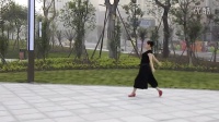 威远县东门口丽萍广场舞--在水一方背面演示