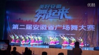 第二届安徽广场舞大赛广德誓节镇舞蹈《雪域恋歌》