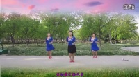 2014最新广场舞大全视频轻纱曼舞广场舞《青春飞舞》_标清