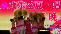 岱岳广场舞《童声独唱：美丽的太阳花》表演：刘博文