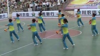 10-陵川县消夏广场舞——十一套健身球