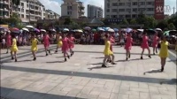 芦溪洋羚广场舞队 自由自在