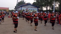 吉林省榆树市泗河镇炮手村后二十家子屯广场舞视频